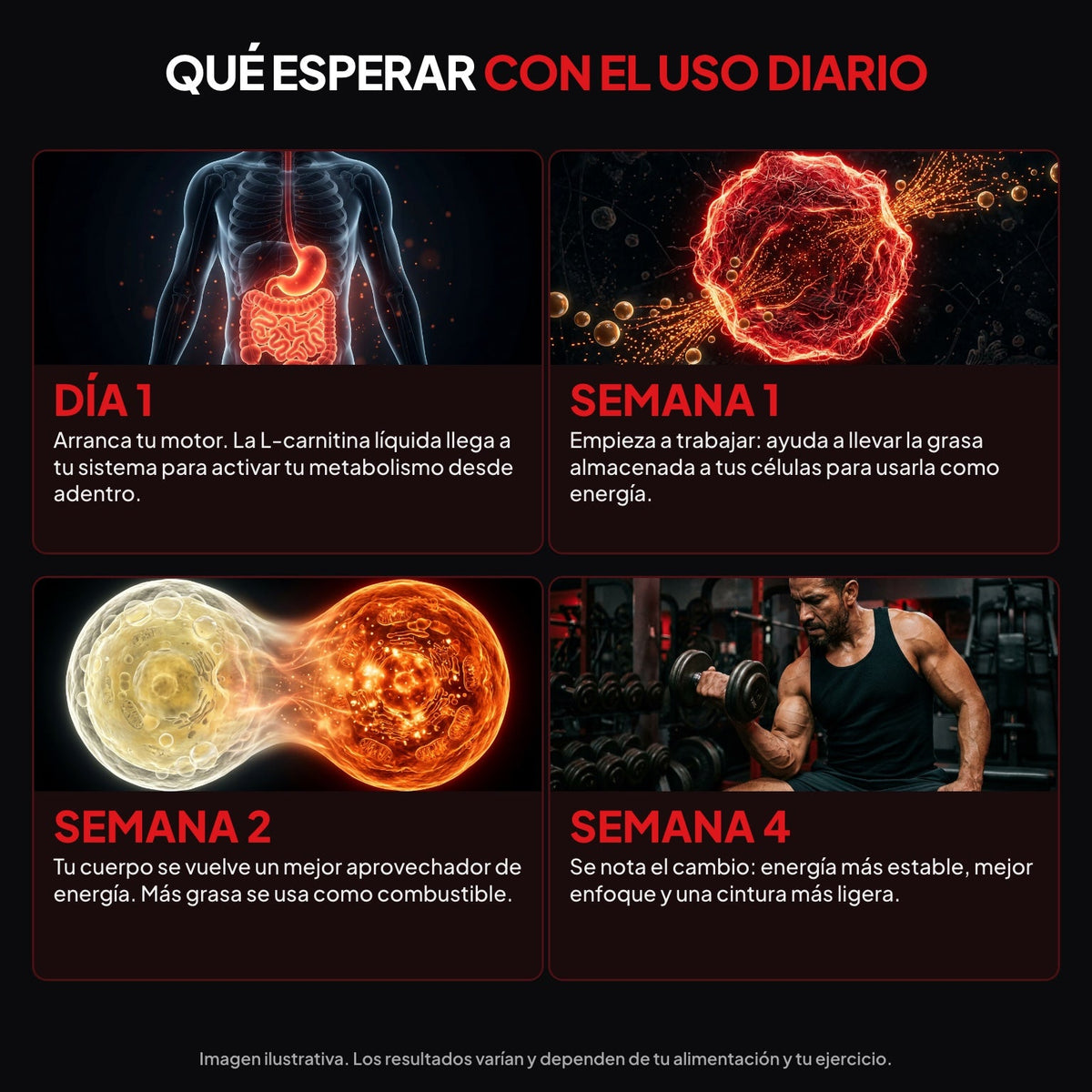 L-Carnitina líquida sabor gomita ácida